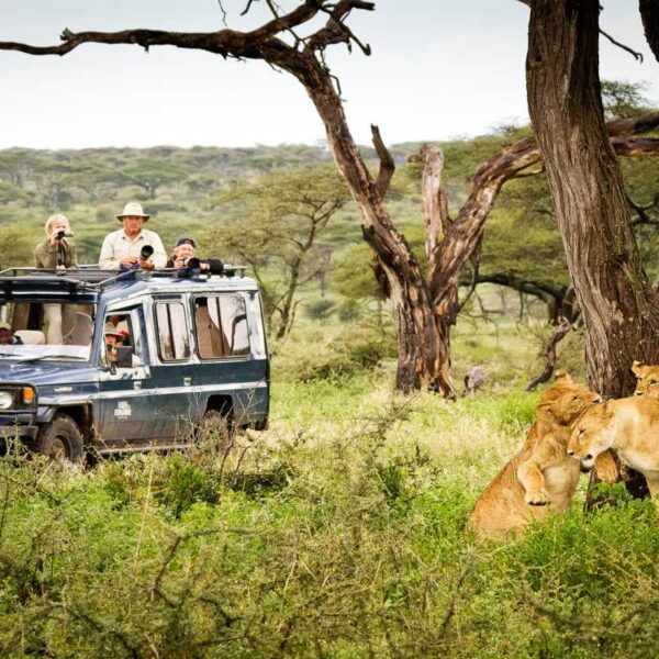 safari 7 jours kenya