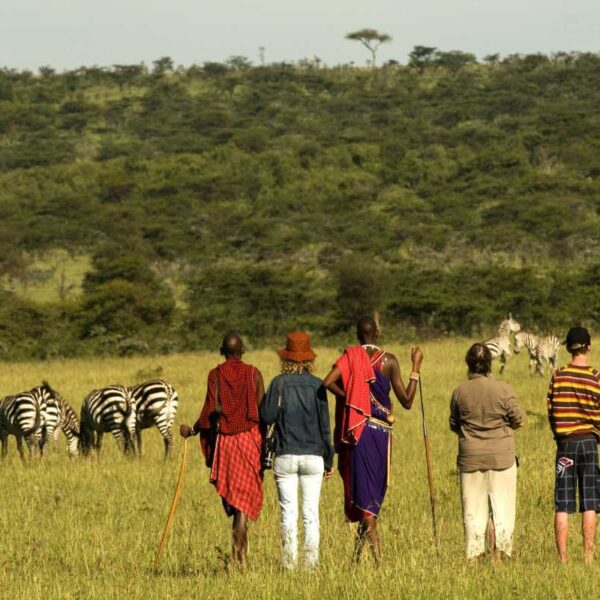 safari 7 jours kenya