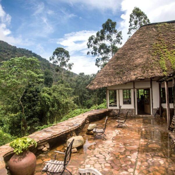 Bwindi lodge Eco friendly