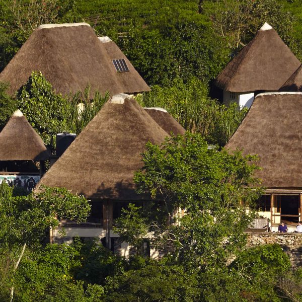 Bwindi Lodge, situated at the edge of Bwindi Impenetrable National Park, featuring charming cottages with stunning views of the lush forest, providing a serene and intimate atmosphere for guests seeking an unforgettable gorilla trekking experience.