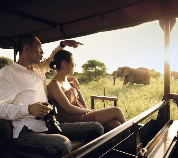 Chinese travelers inside masai mara during safari