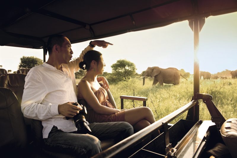 Chinese travelers inside masai mara during safari