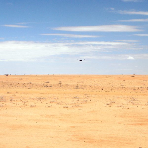 Chalbi Desert